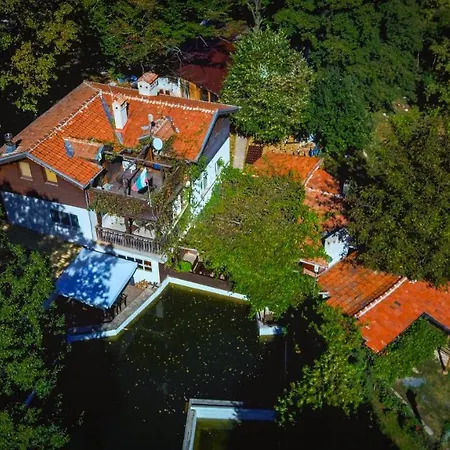 рибарник Forest мagic Хижа Topolitsa