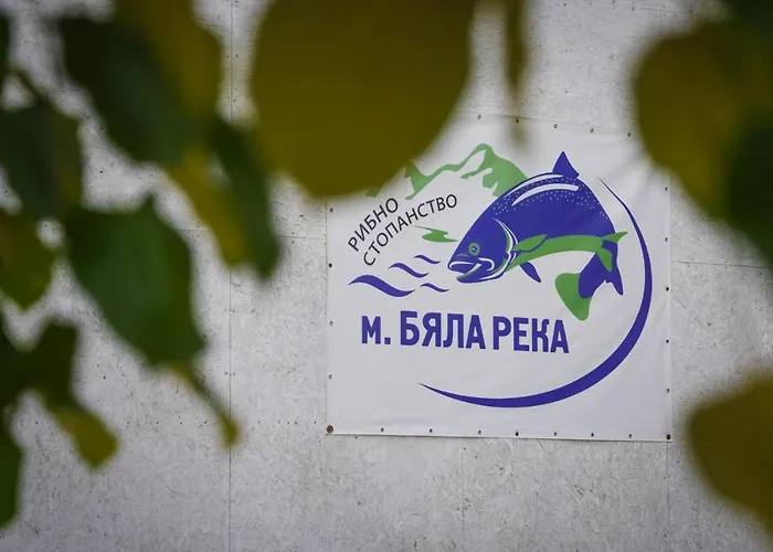 рибарник Forest мagic *