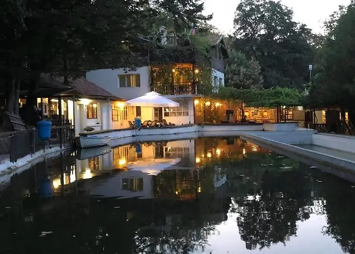 Хижа рибарник Forest мagic Topolitsa