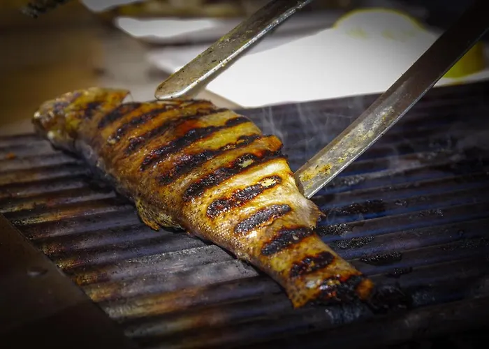 рибарник Forest мagic Topolitsa