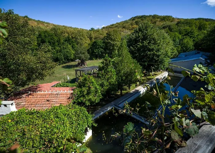 рибарник Forest мagic Topolitsa