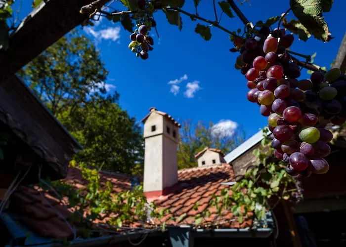 рибарник Forest мagic Хижа Topolitsa