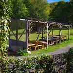 Lodge рибарник Forest мagic