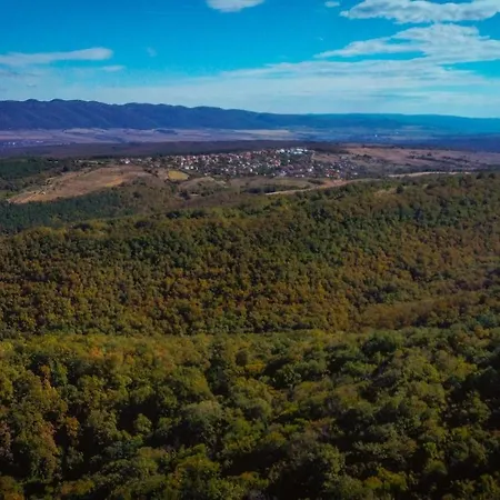 рибарник Forest мagic *