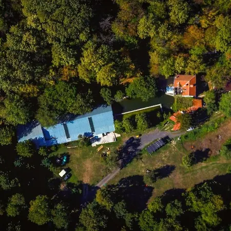 Lodge рибарник Forest мagic *