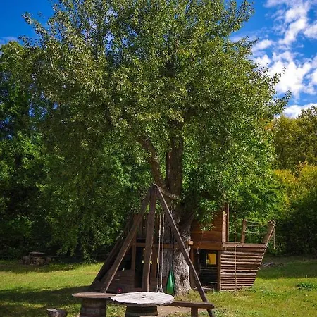 Lodge рибарник Forest мagic *