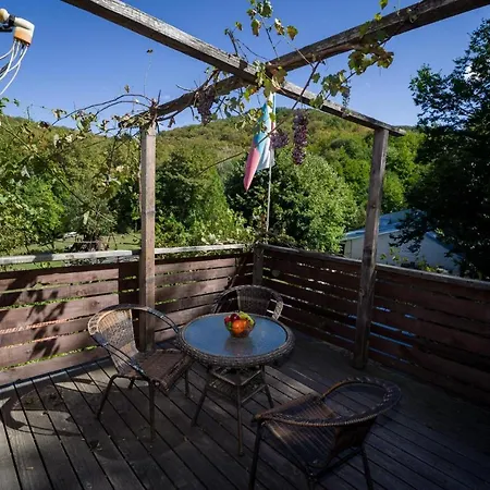 рибарник Forest мagic *