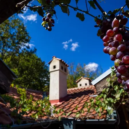 рибарник Forest мagic Hytte Topolitsa