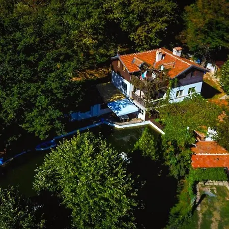 рибарник Forest мagic