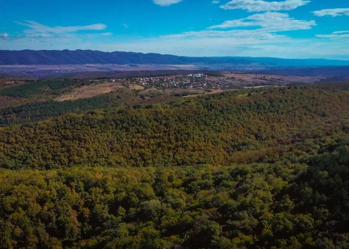 рибарник Forest мagic *