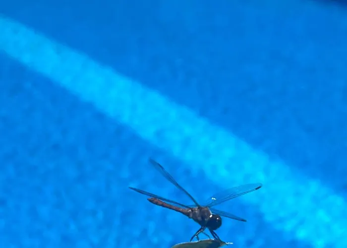 рибарник Forest мagic Хижа